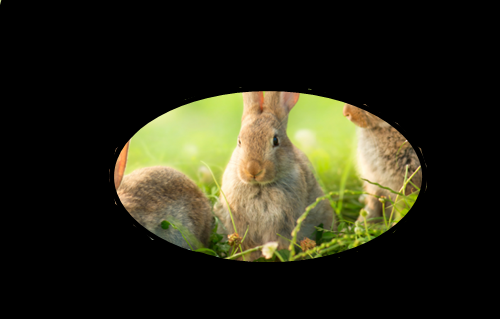 青光眼,高度近视患者,用眼过度,珠海希玛眼科