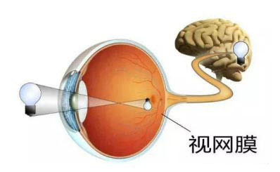 视网膜脱落,视网膜撕裂,近视手术,珠海希玛林顺潮眼科医院