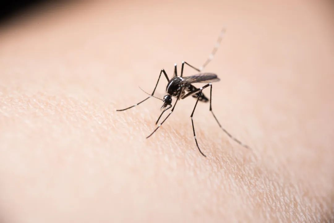 飞蚊症有什么治疗方式,治疗飞蚊症的方法,飞蚊症需要治疗吗