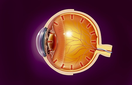 青光眼,青光眼的症状,青光眼治疗.珠海希玛林顺潮眼科医院